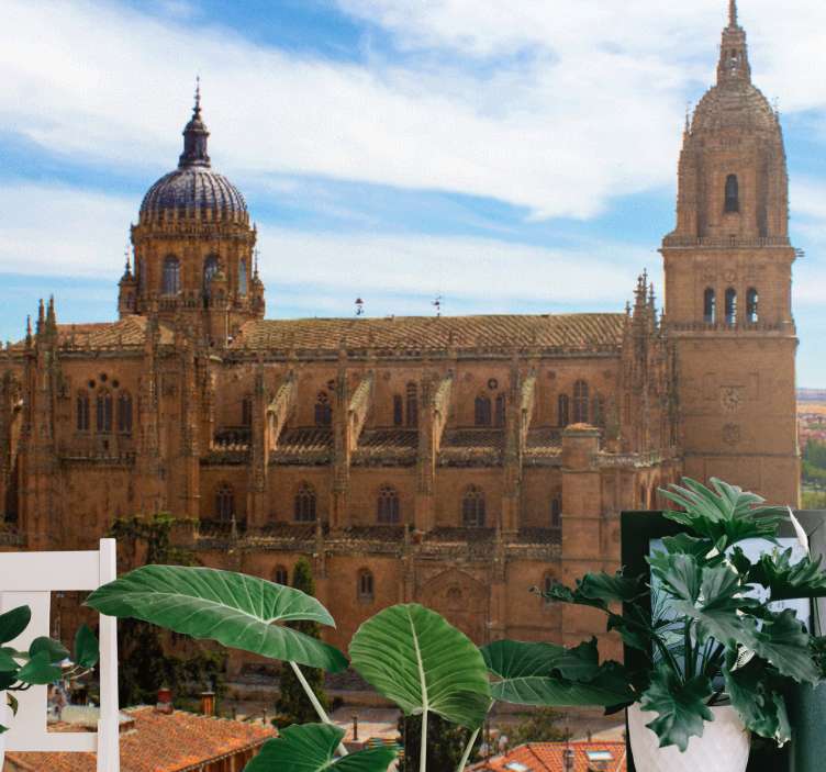 τοιχογραφία της κεντρικής πλατείας της πόλης Σαλαμάνκα - TenStickers