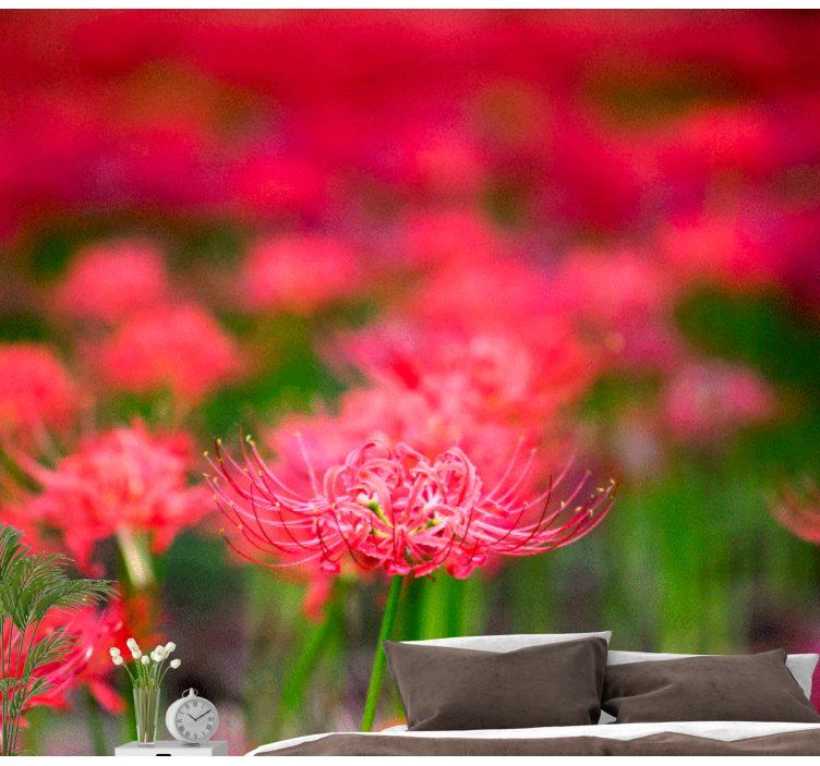 Φωτοταπετσαρία με παπαρούνες Ζωντανά Κόκκινα Λουλούδια - TenStickers