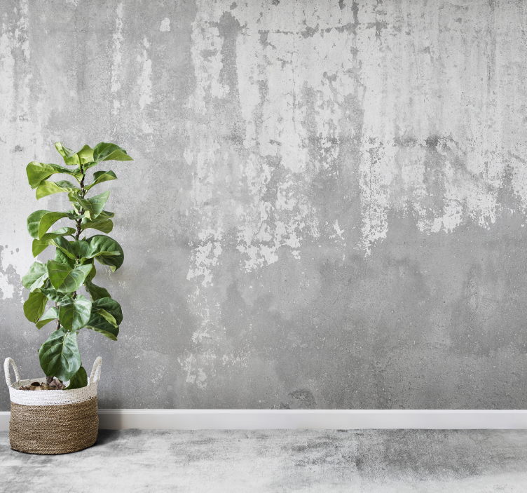 τοιχογραφία από σκληρό πέτρινο τοίχο - TenStickers