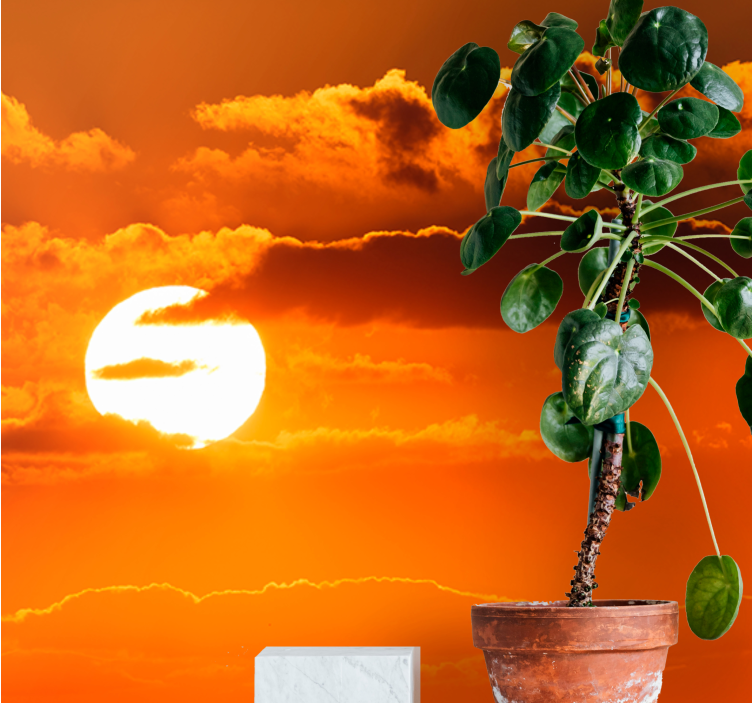 Φωτοταπετσαρία ουρανού Δύση πάνω από σύννεφα - TenStickers