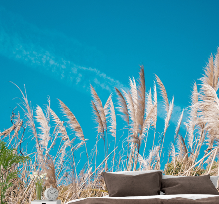 καλοκαιρινή και ηλιόλουστη τοιχογραφία τοίχου φύσης pampasgrass - TenStickers