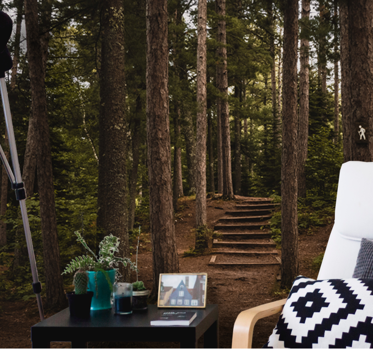 ψηλό δάσος φύση δέντρο τοιχογραφία - TenStickers