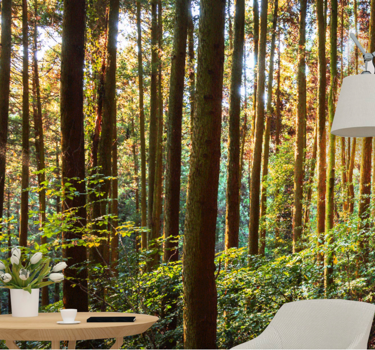 ψηλοί κορμοί δέντρων δασική τοιχογραφία - TenStickers