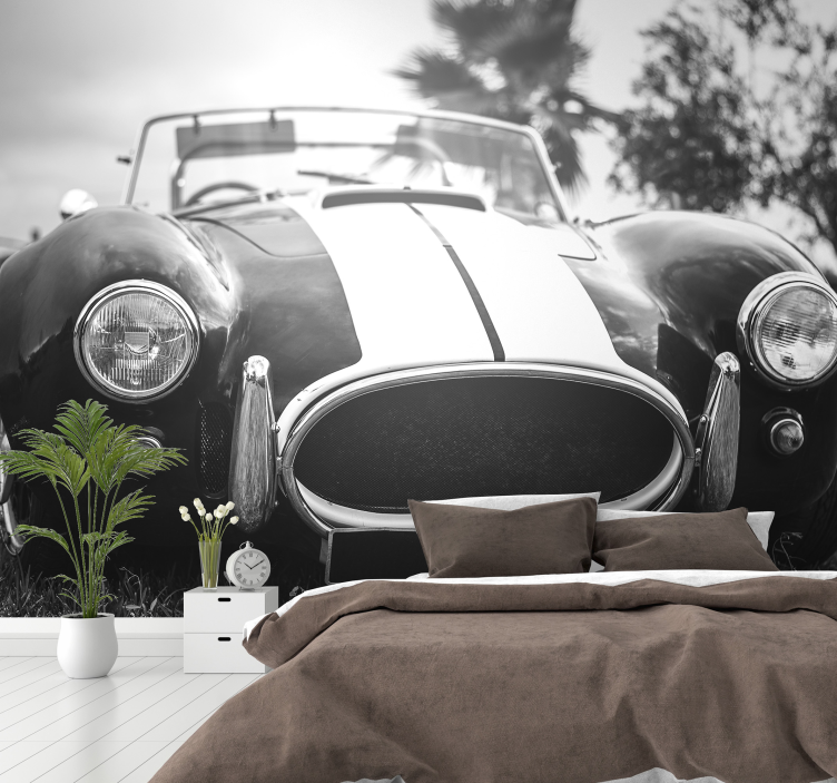 ταπετσαρία φωτογραφία vintage αγωνιστικό αυτοκίνητο - TenStickers