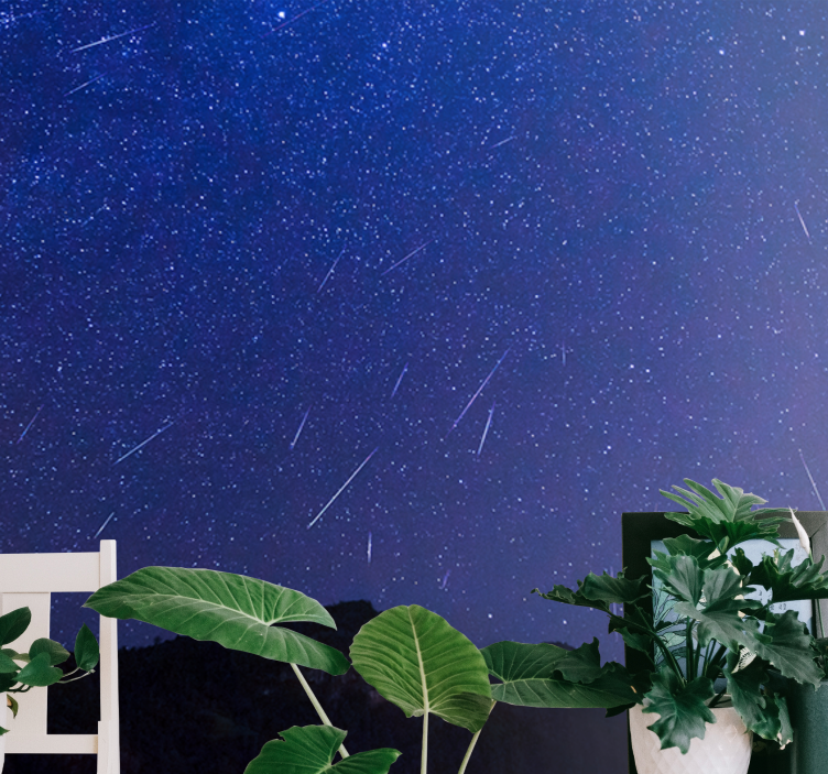 Φωτοταπετσαρία βουνού Νύχτα Ουράνιων Κομητών - TenStickers