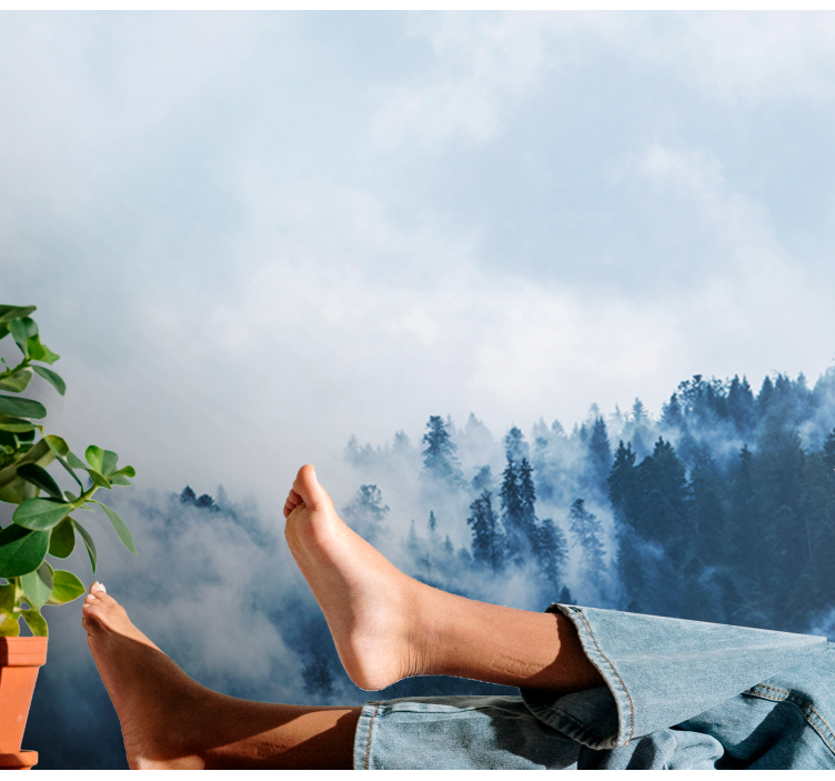 Φωτοταπετσαρία φύσης τοπίο ομίχλης δάσους - TenStickers