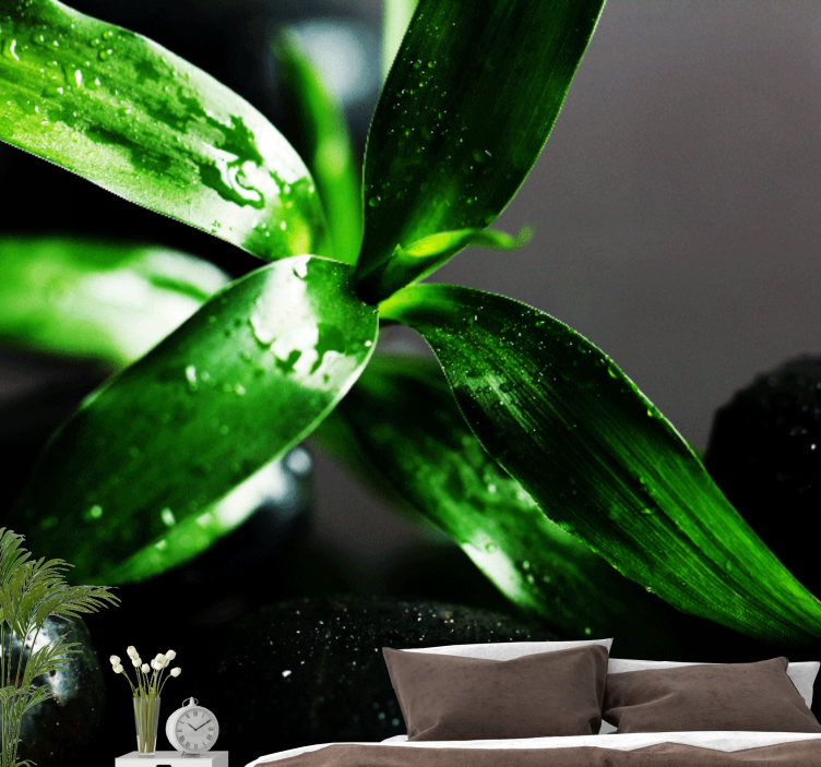 Φωτοταπετσαρία φύσης Υφή Φρέσκων Φύλλων - TenStickers