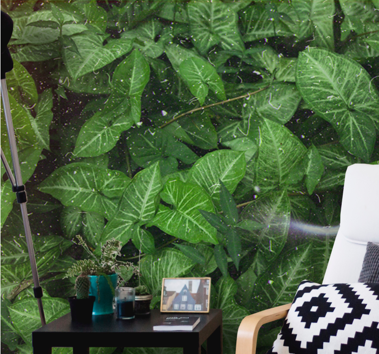 Φωτοταπετσαρία φύσης Ζωντανή Σύνθεση Φύλλων - TenStickers