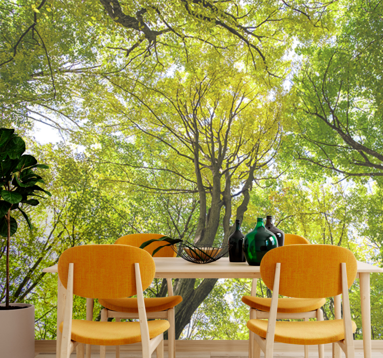 Φωτοταπετσαρία φύσης Πλούσια Στέγη Δάσους - TenStickers