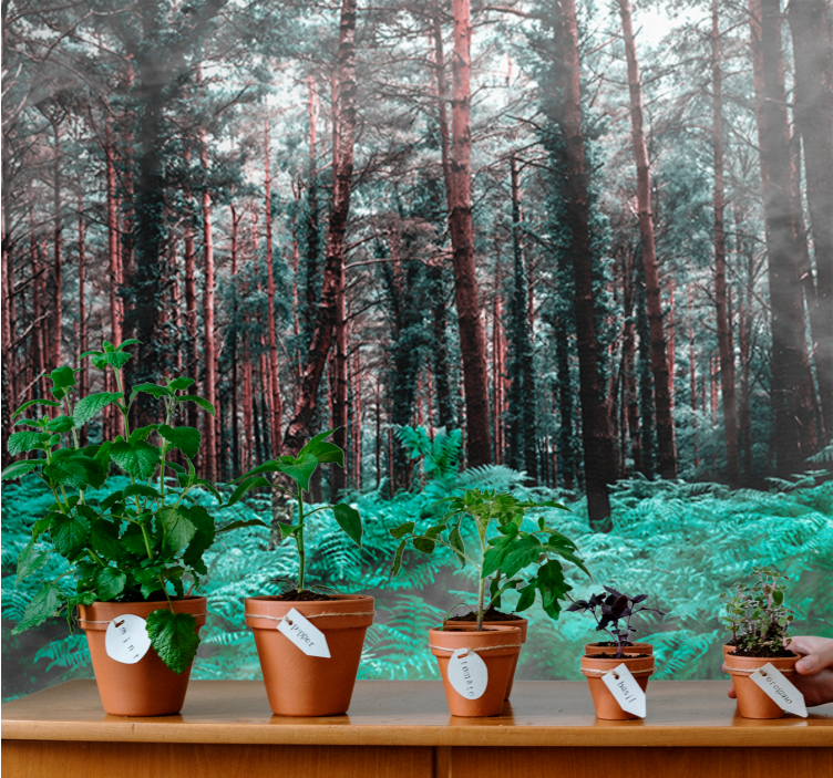 Φωτοταπετσαρία φύσης Πλούσια Πράσινη Άγρια Φύση - TenStickers