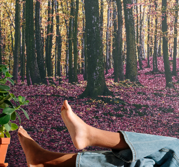 Φωτοταπετσαρία φύσης ήρεμο δάσος - TenStickers