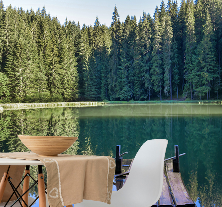 Φωτοταπετσαρία φύσης ήρεμη αντανάκλαση δάσους - TenStickers