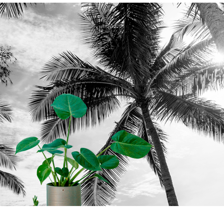 Φωτοταπετσαρία θαλάσσης τροπική σκηνή με φοίνικες - TenStickers