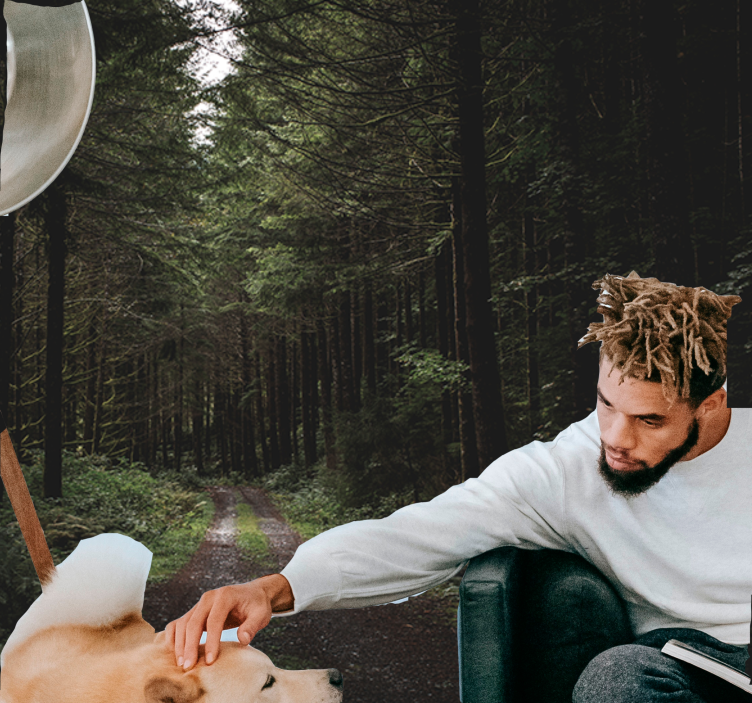 Φωτοταπετσαρία φύσης Πράσινο Δασικό Μονοπάτι - TenStickers