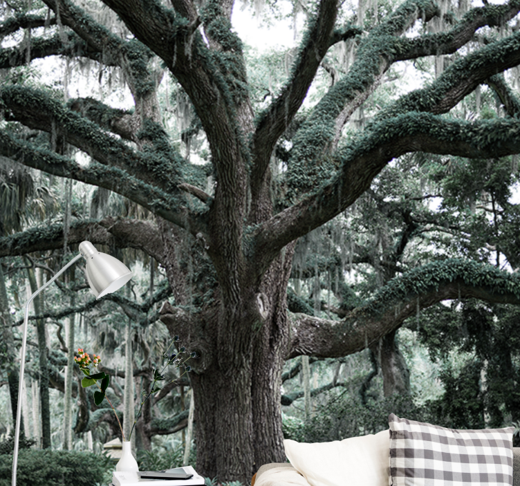 Φωτοταπετσαρία δέντρα μεγαλοπρεπή κλαδιά βελανιδιάς - TenStickers