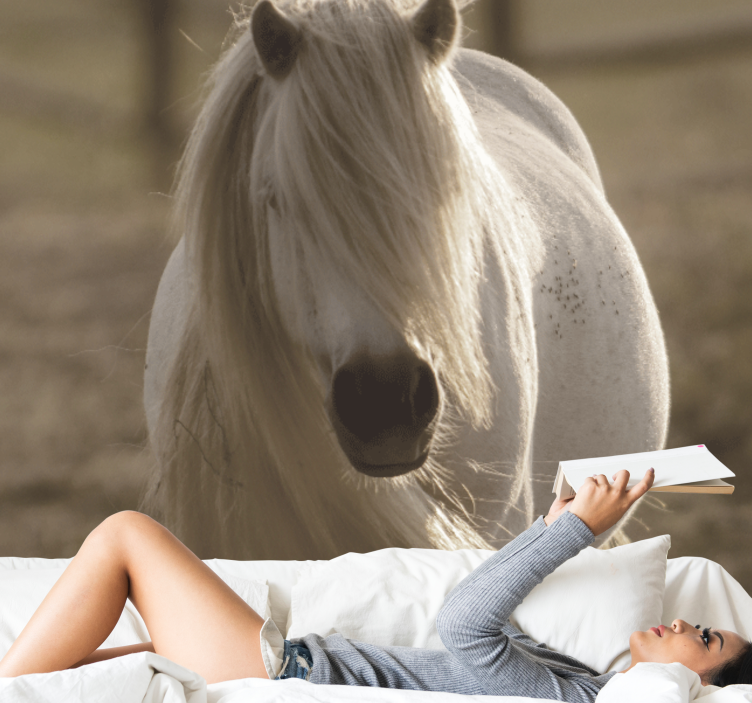 άσπρη τοιχογραφία τοίχου αλόγου - TenStickers