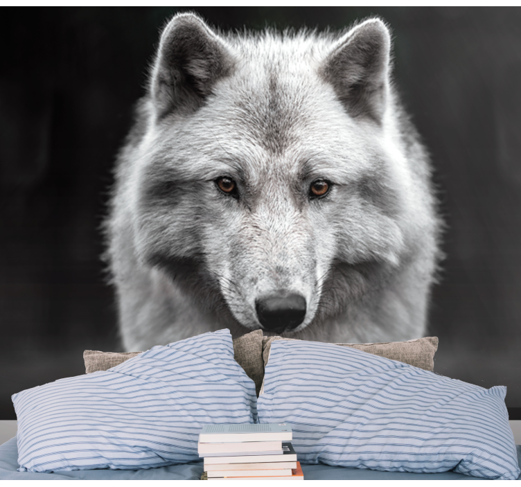 τοιχογραφία λευκού τοίχου λύκων - TenStickers