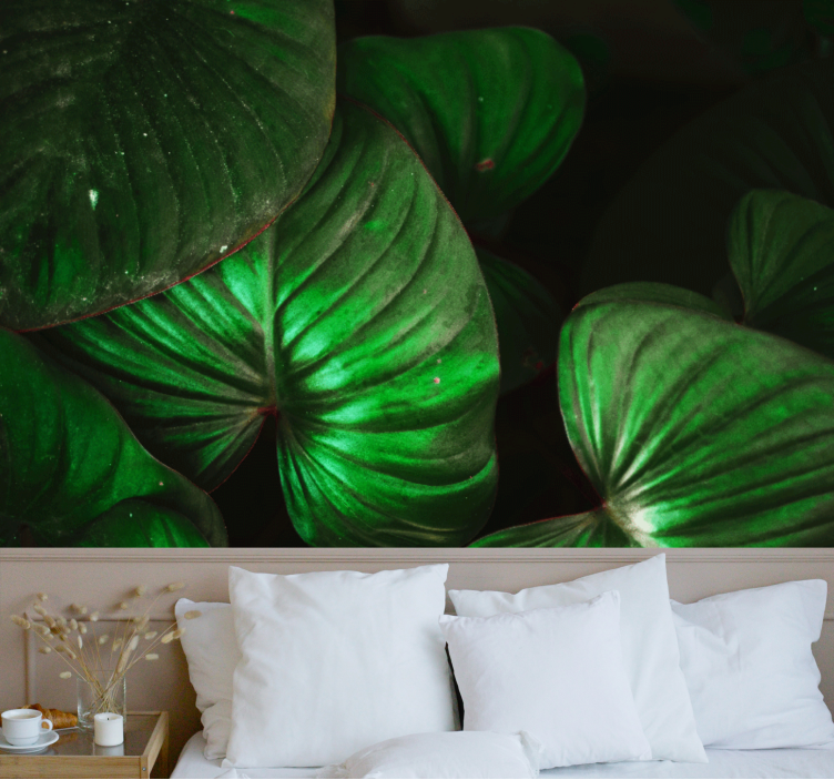 Φαρδιά πράσινα φύλλα τοιχογραφία της φύσης - TenStickers