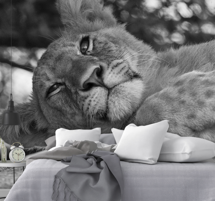 νεαρό λιοντάρι σε τοιχογραφία λιονταριού σε κλίμακα του γκρι - TenStickers