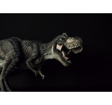 τοιχογραφία t-rex για περπάτημα δεινοσαύρων - TenStickers