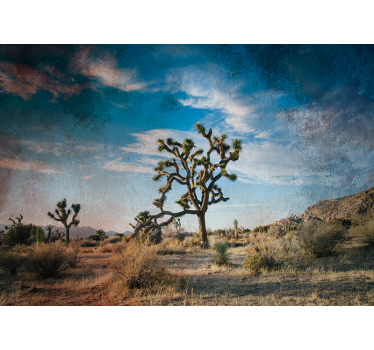 Φωτοταπετσαρία φύσης τοπίο του joshua tree - TenStickers