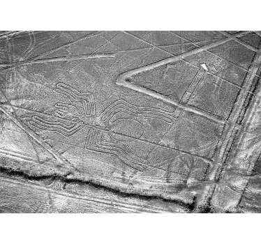 επιδόρπιο πάγου nazca γραμμές τοιχογραφία φύσης - TenStickers