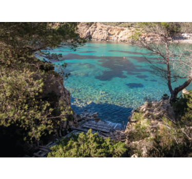 Φωτοταπετσαρία φύσης Καθαρή παράκτια σκηνή - TenStickers