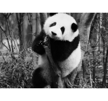 ασπρόμαυρο panda σε τοιχογραφίες τοπίου δέντρων - TenStickers