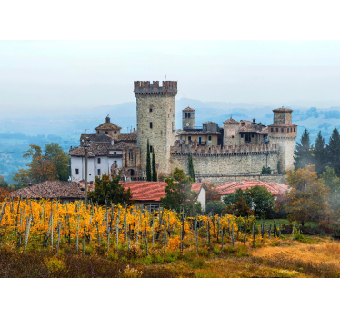 αμπελώνες σε τοιχογραφίες της φύσης της emilia-romagna - TenStickers