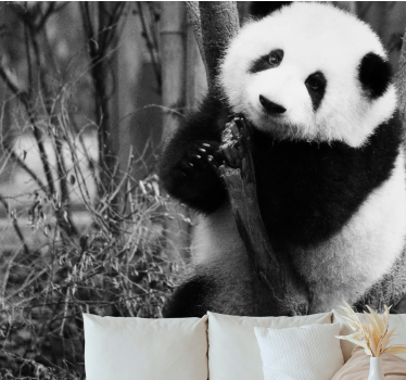 ασπρόμαυρο panda σε τοιχογραφίες τοπίου δέντρων - TenStickers
