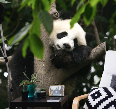 ταπετσαρία τοιχογραφίας χαριτωμένο μωρό panda αρκούδες - TenStickers