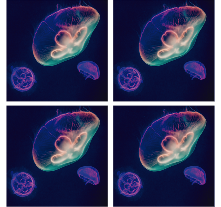 Σουβέρ τέρας πολύχρωμα τζελίντζερ δημιουργήματα - TenStickers