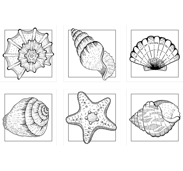 θαλάσσια ζωή και κοχύλια θαλάσσια ζωή σουβέρ - TenStickers