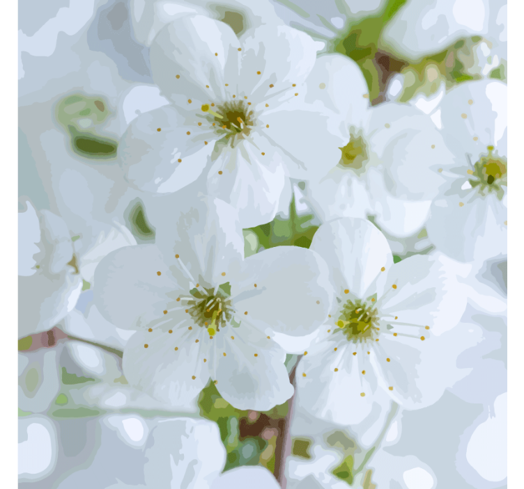 Σουβέρ Λεπτά Ανθισμένα Κερασιές - TenStickers