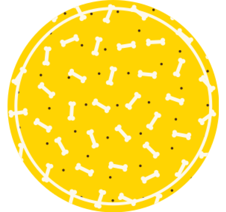 Σουβέρ τέρας στρογγυλό με σχέδιο οστού - TenStickers