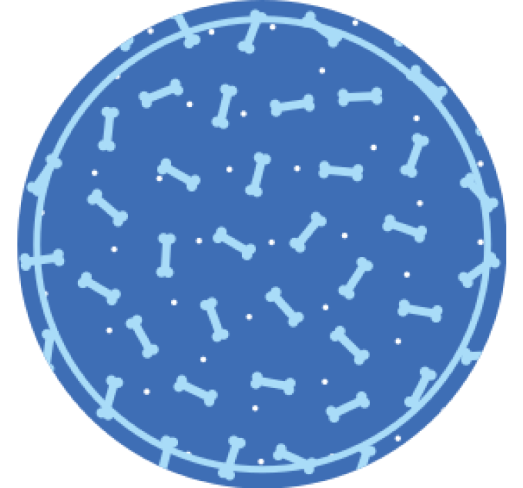 Σουβέρ με σχέδιο οστού σε κύκλο - TenStickers