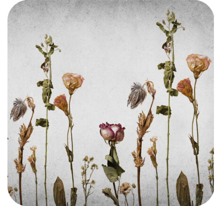 Σουβέρ με αποξηραμένα λουλούδια - TenStickers