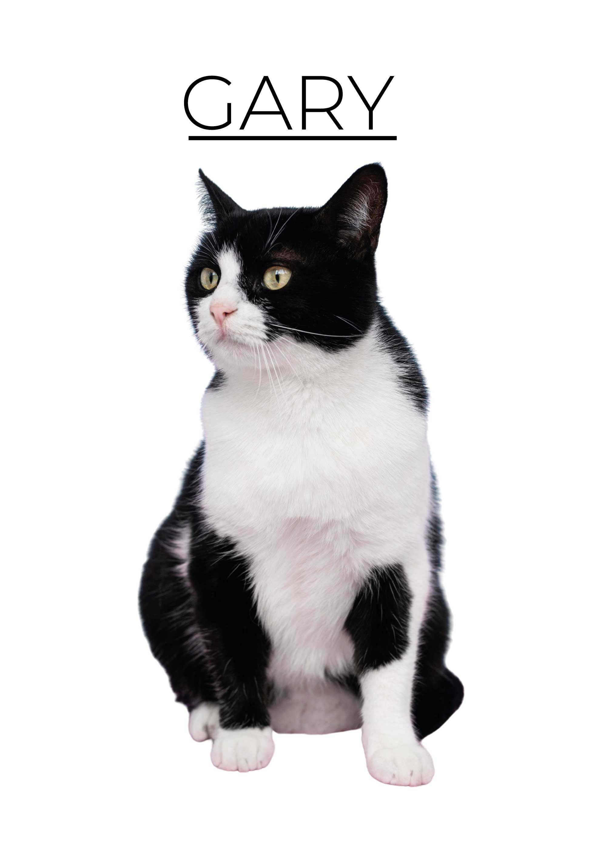 Aφίσα ζώων εξατομικευμένο μινιμαλιστικό - TenStickers