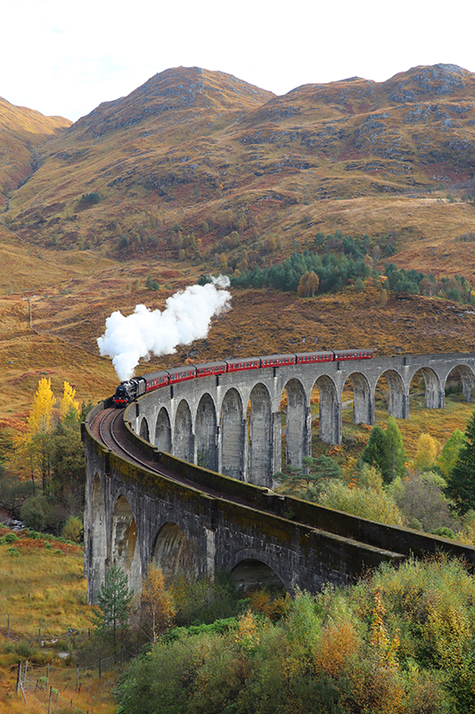 Ρεαλιστική φωτογραφία αφίσα κινούμενο τρένο - TenStickers