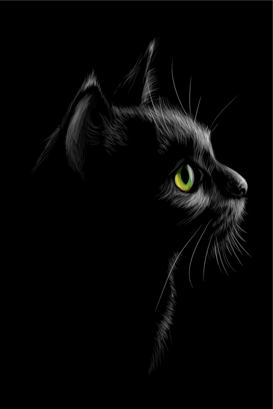 Αφίσα για το σαλόνι Γάτοι με πράσινα μάτια - TenStickers