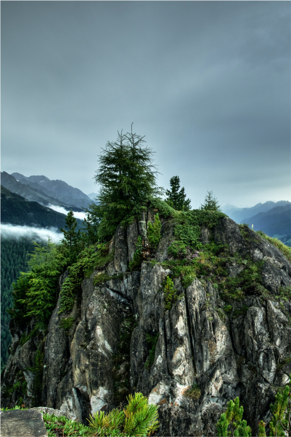 Αφίσα για το σαλόνι Μοναχική πέτρα σε πράσινο δάσος - TenStickers