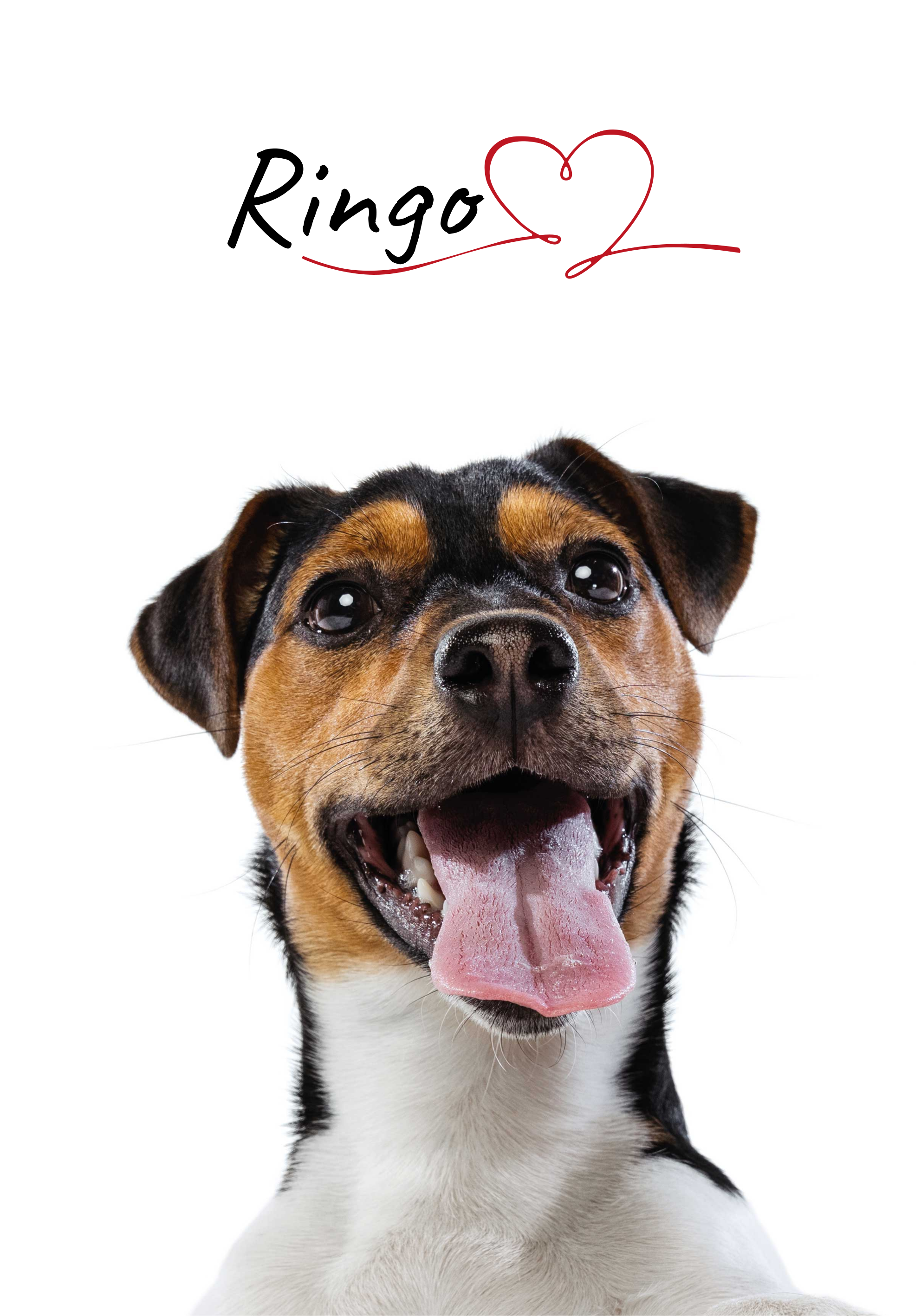 προσαρμοσμένη αφίσα αγάπης σκύλου για τοίχο - TenStickers