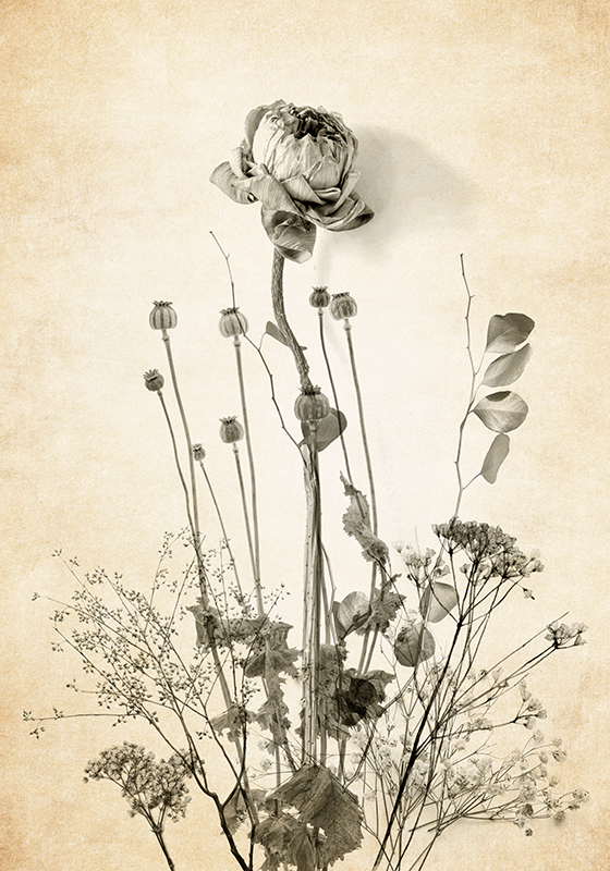 Αφίσα ανθέων μπουκέτο λουλούδια σε μπεζ φόντο - TenStickers