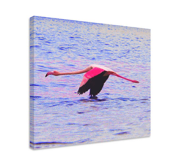 Καμβάς ζωγραφικής ψαριών Φλαμίνγκο σε Πτήση - TenStickers