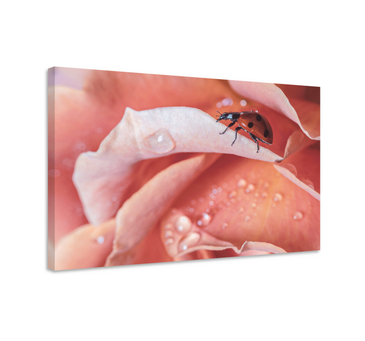 Ζωγραφική λουλουδιών και φυτών σε καμβά Κατσαρίδα σε Ρόδο - TenStickers