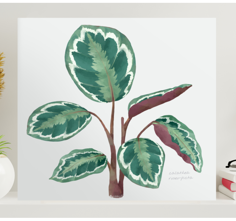 εκτυπώσεις καμβά φυτών calathea - TenStickers