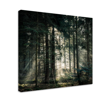Καμβάς ζωγραφική τοπία Ακτίνες ήλιου μέσα από φύλλα - TenStickers