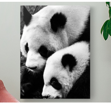 μητέρα και μωρό panda ζωικό καμβά - TenStickers