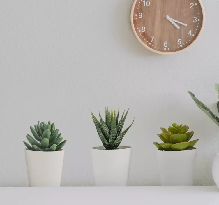 Αυτοκόλλητα τοιχογραφίας τρισδιάστατων δοχείων κάκτων - TenStickers