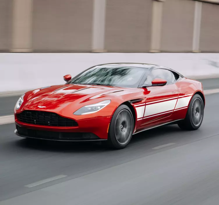 αυτοκόλλητο βινυλίου αυτοκινήτου ράλι - TenStickers